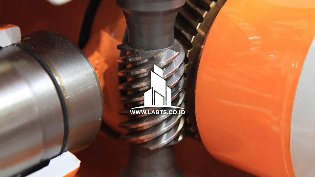 Worm Gear